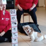 Kleiner Hund mit zwei Frauen des Österreichischen Roten Kreuz